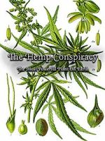 Watch The Hemp Conspiracy: The Most Powerful Plant in the World (Short 2017) Afdah