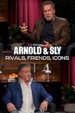 Watch Arnold & Sly: Rivals, Friends, Icons Online Afdah