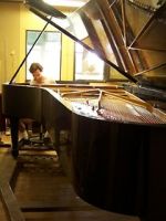 Watch Note by Note: The Making of Steinway L1037 Online Afdah