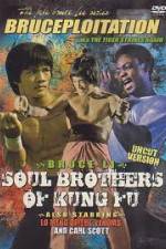 Watch Soul Brothers of Kung Fu Afdah