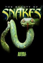 Watch Beauty of Snakes Movie25