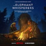 Watch The Elephant Whisperers (Short 2022) Online Afdah