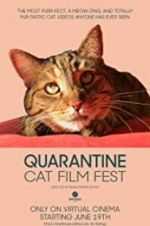 Watch Quarantine Cat Film Fest Afdah