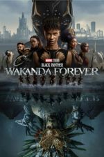 Black Panther: Wakanda Forever afdah