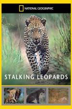 Watch National Geographic: Stalking Leopards Afdah