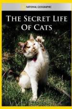 Watch National Geographic The Secret Life of Cats Afdah