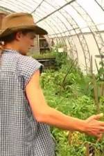 Watch Green House Seeds Strain Hunters India Expedition Afdah