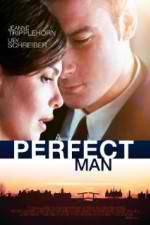 Watch A Perfect Man Afdah