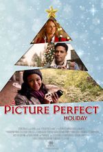 Watch A Picture Perfect Holiday Afdah