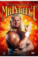 Watch The Life and Times of Mr Perfect Afdah