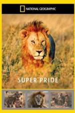 Watch National Geographic: Super Pride Africa\'s Largest Lion Pride Afdah