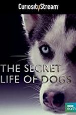 Watch Secret Life of Dogs Afdah