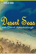 Watch Desert Seas Afdah