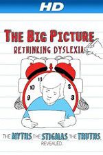 Watch The Big Picture Rethinking Dyslexia Afdah