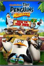 Watch Penguins of Madagascar New to the Zoo Afdah