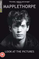 Watch Mapplethorpe: Look at the Pictures Afdah