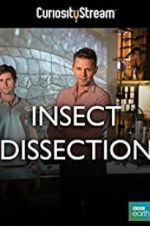 Watch Insect Dissection: How Insects Work Afdah