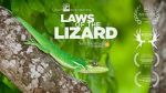 Watch Laws of the Lizard Afdah