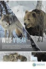 Watch Wolf vs Bear Afdah