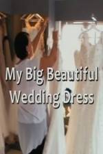 Watch My Big Beautiful Wedding Dress Afdah