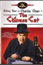 Watch Charlie Chan in The Chinese Cat Afdah