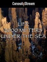 Watch Life 2,000 Meters Under the Sea Afdah