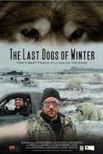 Watch The Last Dogs of Winter Afdah