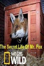 Watch The Secret Life of Mr. Fox Afdah