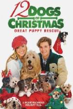 Watch 12 Dogs of Christmas Great Puppy Rescue Afdah