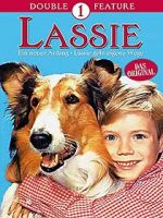 Watch Lassie: A New Beginning Afdah