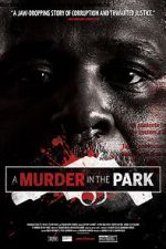 Watch A Murder in the Park Afdah