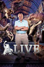 Watch David Attenborough\'s Natural History Museum Alive Afdah