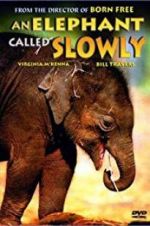 Watch An Elephant Called Slowly Afdah