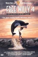 Watch Free Willy Escape from Pirate's Cove Afdah