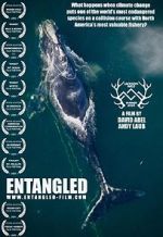 Watch Entangled: The Race to Save Right Whales from Extinction Afdah