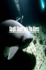 Watch National Geographic Wild Sixgill Shark Into The Abyss Afdah