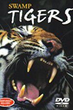 Watch Swamp Tigers Afdah