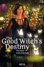 Watch The Good Witchs Destiny Afdah