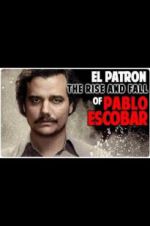 Watch The Rise and Fall of Pablo Escobar Afdah