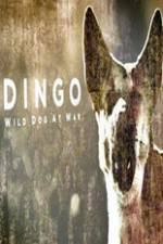 Watch Dingo Wild Dog at War Afdah