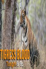 Watch Discovery Channel-Tigress Blood Afdah