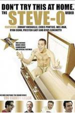 Watch Don't Try This at Home The Steve-O Video Afdah