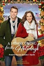 Watch A Homecoming for the Holidays Afdah