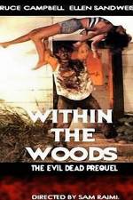 Watch Within the Woods Afdah