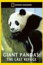 Watch National Geographic Giant Pandas The Last Refuge Afdah