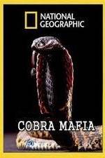 Watch National Geographic Cobra Mafia Afdah