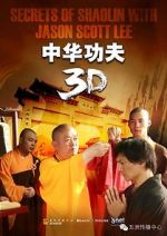 Watch Secrets of Shaolin with Jason Scott Lee Afdah