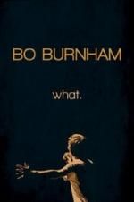 Watch Bo Burnham: what. Afdah