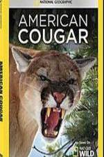 Watch National Geographic - American Cougar Afdah