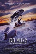 Watch Free Willy 2: The Adventure Home Afdah